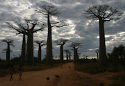 Photos Madagascar